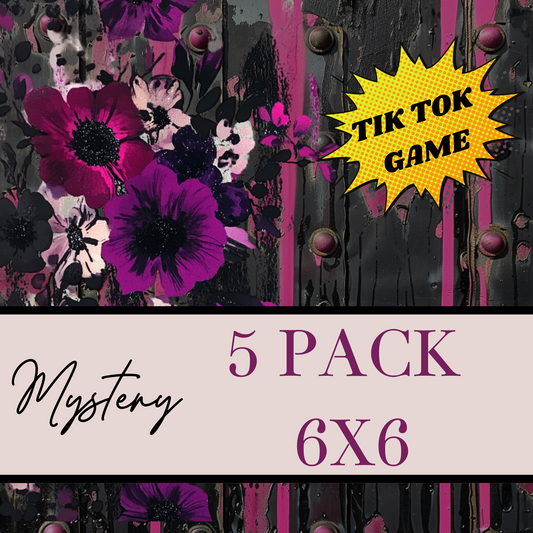 MYSTERY 6X6 VINYL PACK OF 5 - LIVE TT GAME