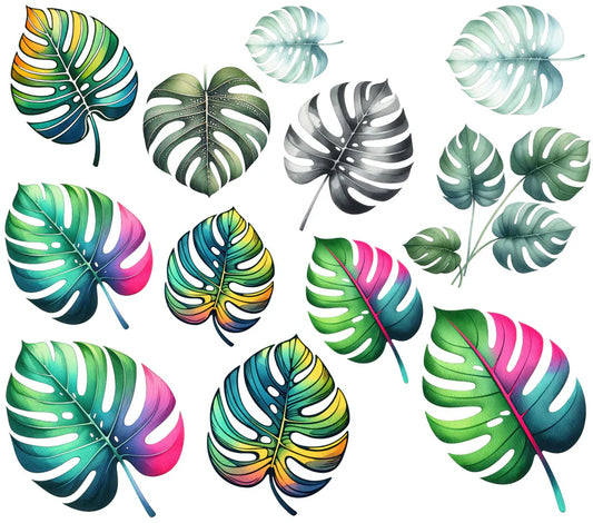 DOUBLE SIDED PRINT Colorful Monstera
