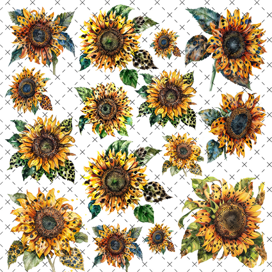 #20-167 SUNFLOWER LEOPARD SHEET