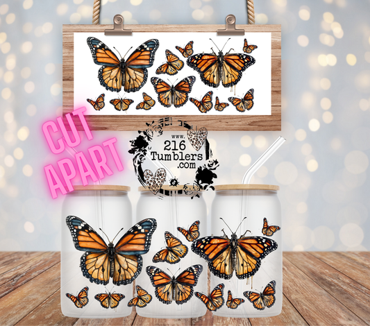 MONARCH BUTTERFLIES