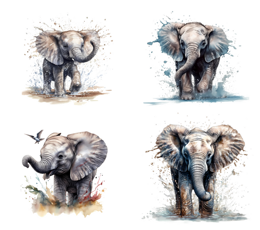 #20-35 Elephants