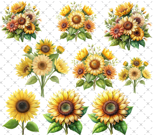 #20-133 SUNFLOWERS